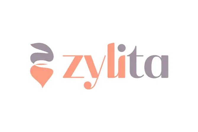 Domain name logo – Zylita