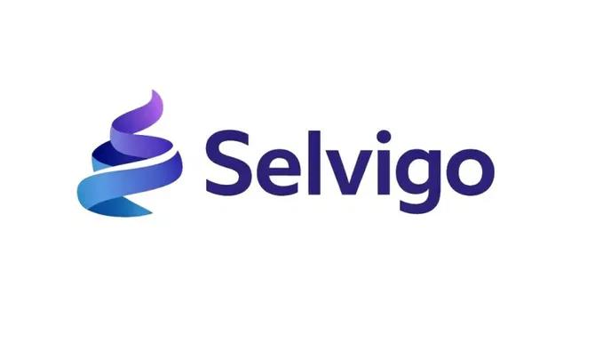 Selvigo domain name logo