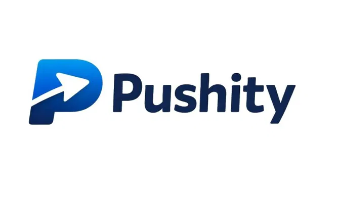 Pushity domain name logo